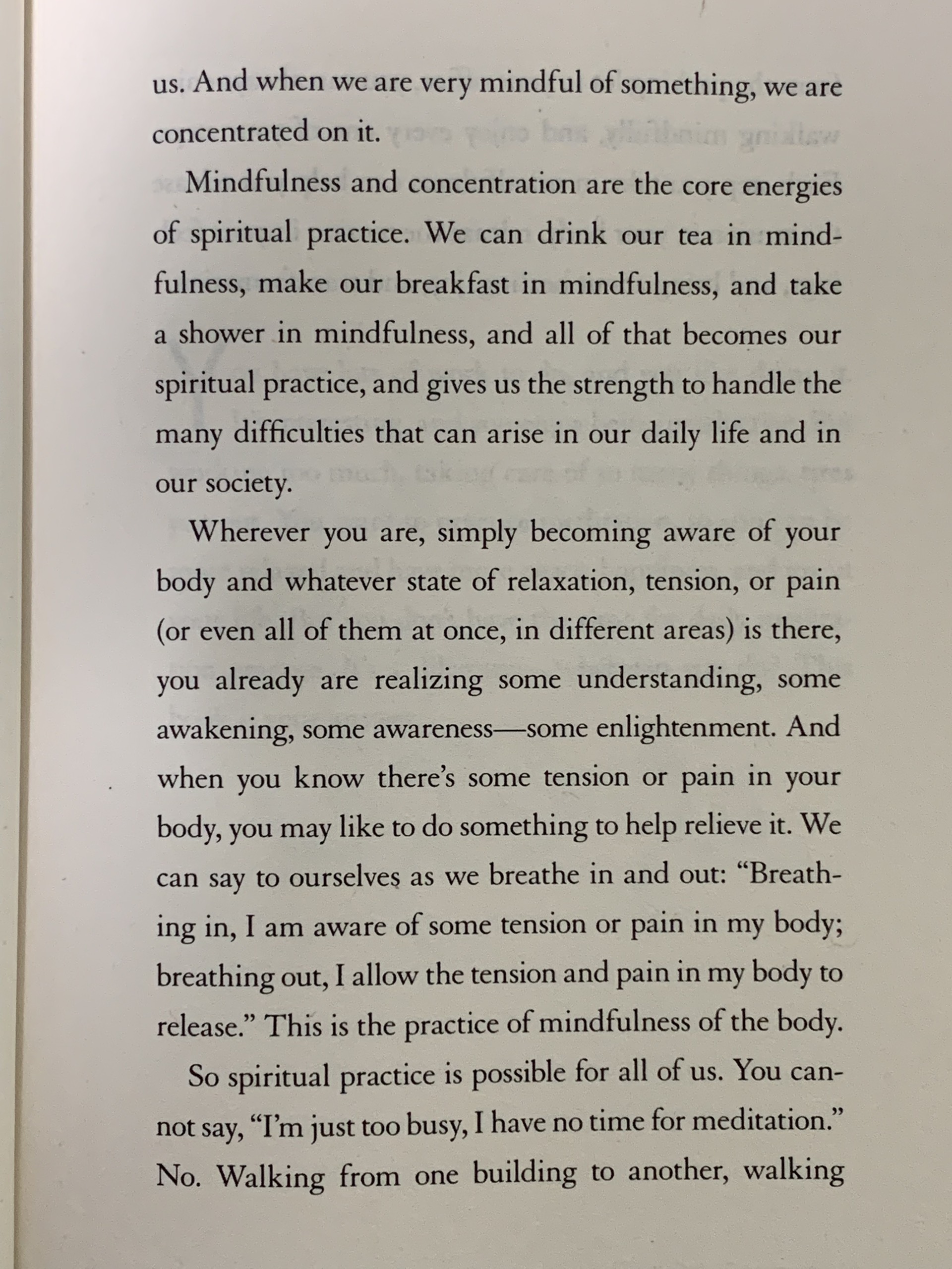 Peace Is Every Breath ( Thích Nhất Hạnh )