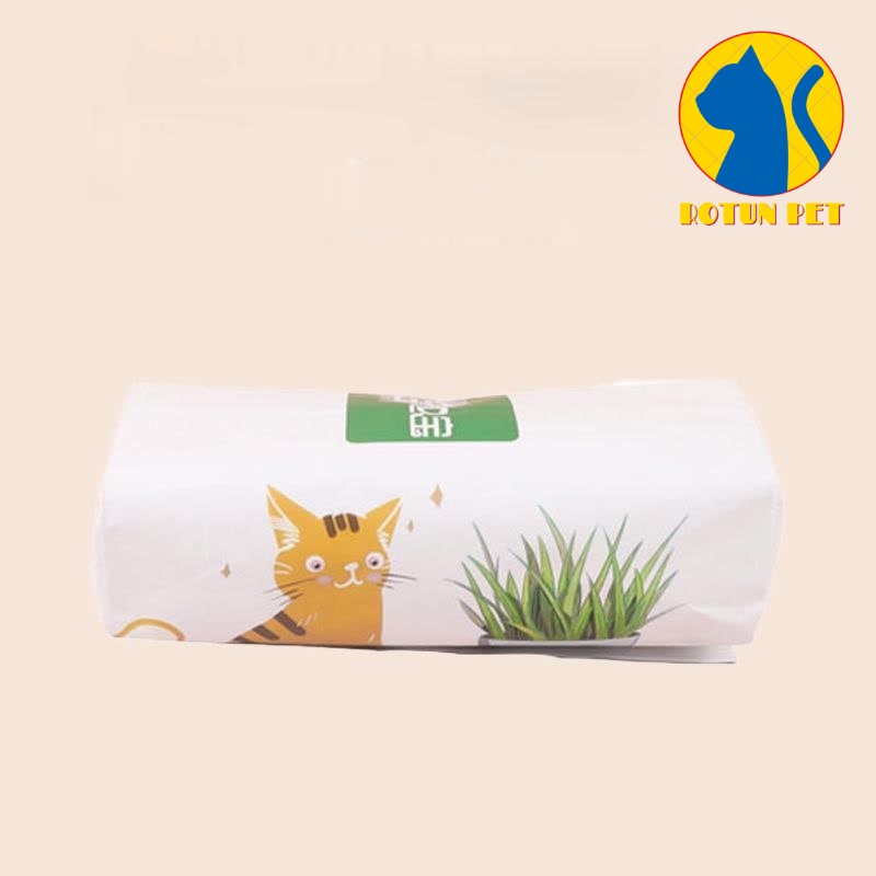 Bộ trồng cỏ tươi cho mèo không cần đất