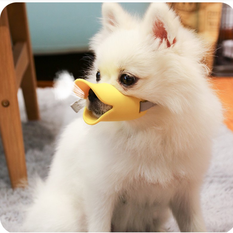 Rọ mõm mỏ vịt cho chó 2 size (màu ngẫu nhiên)