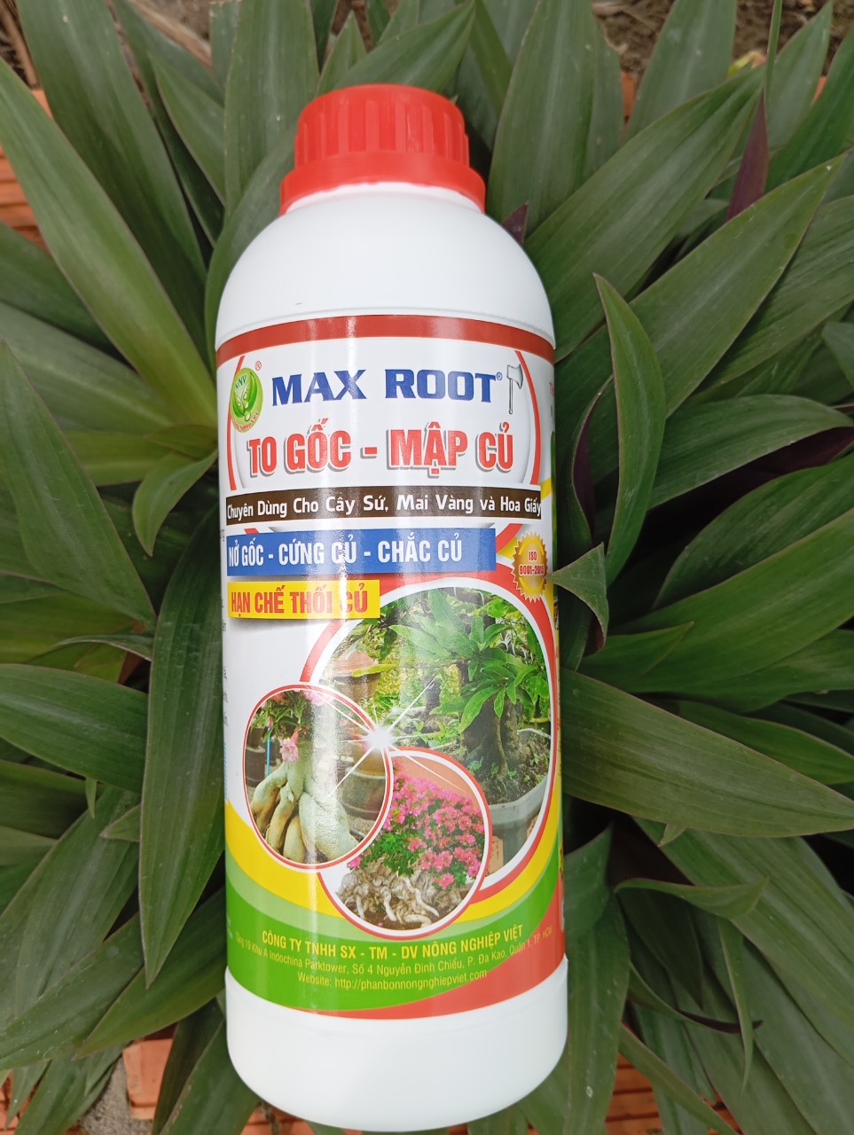 Phân Bón To Củ Chuyên Sứ, Mai, Hoa Giấy,...
