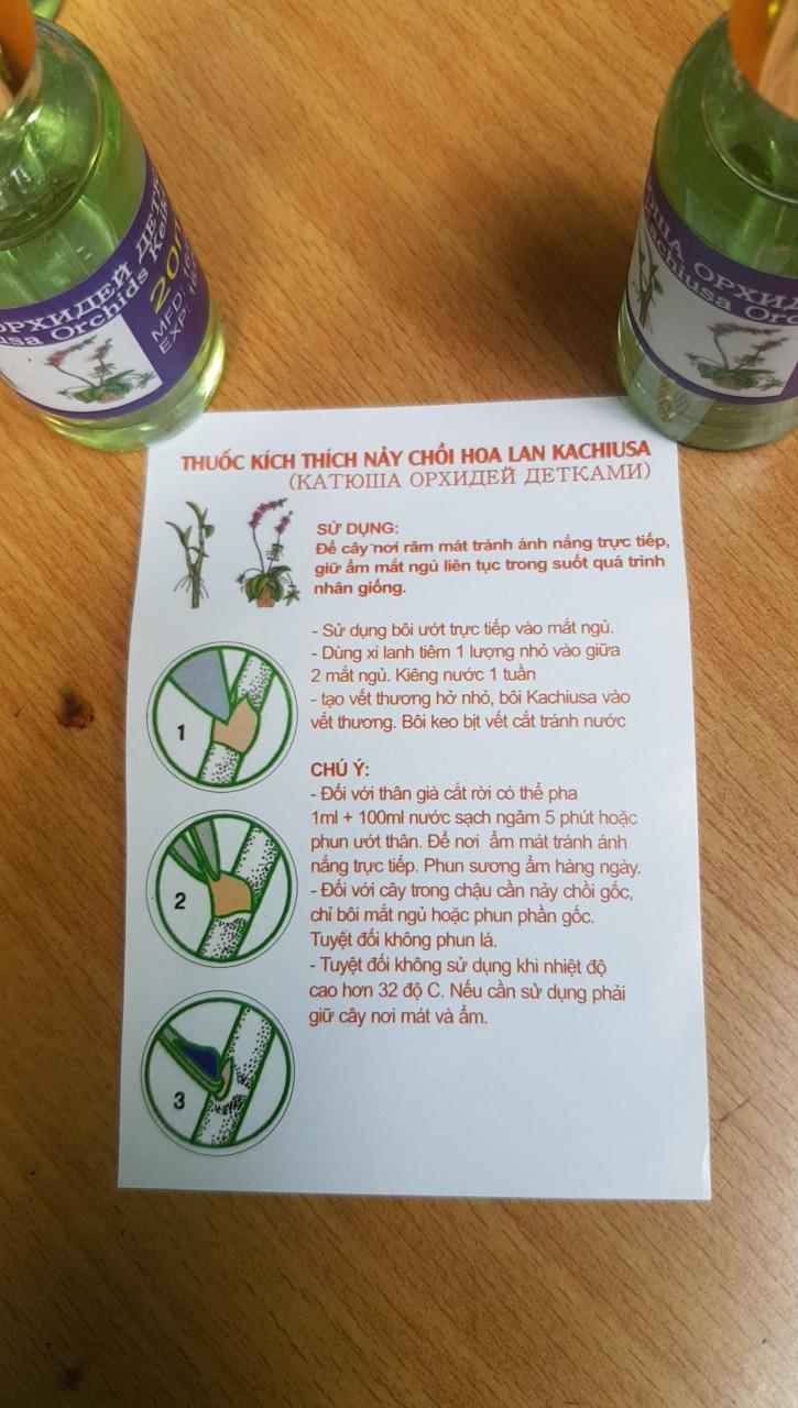 Kích mầm, kích chồi keiki Cachiusa (Lọ 20ml)
