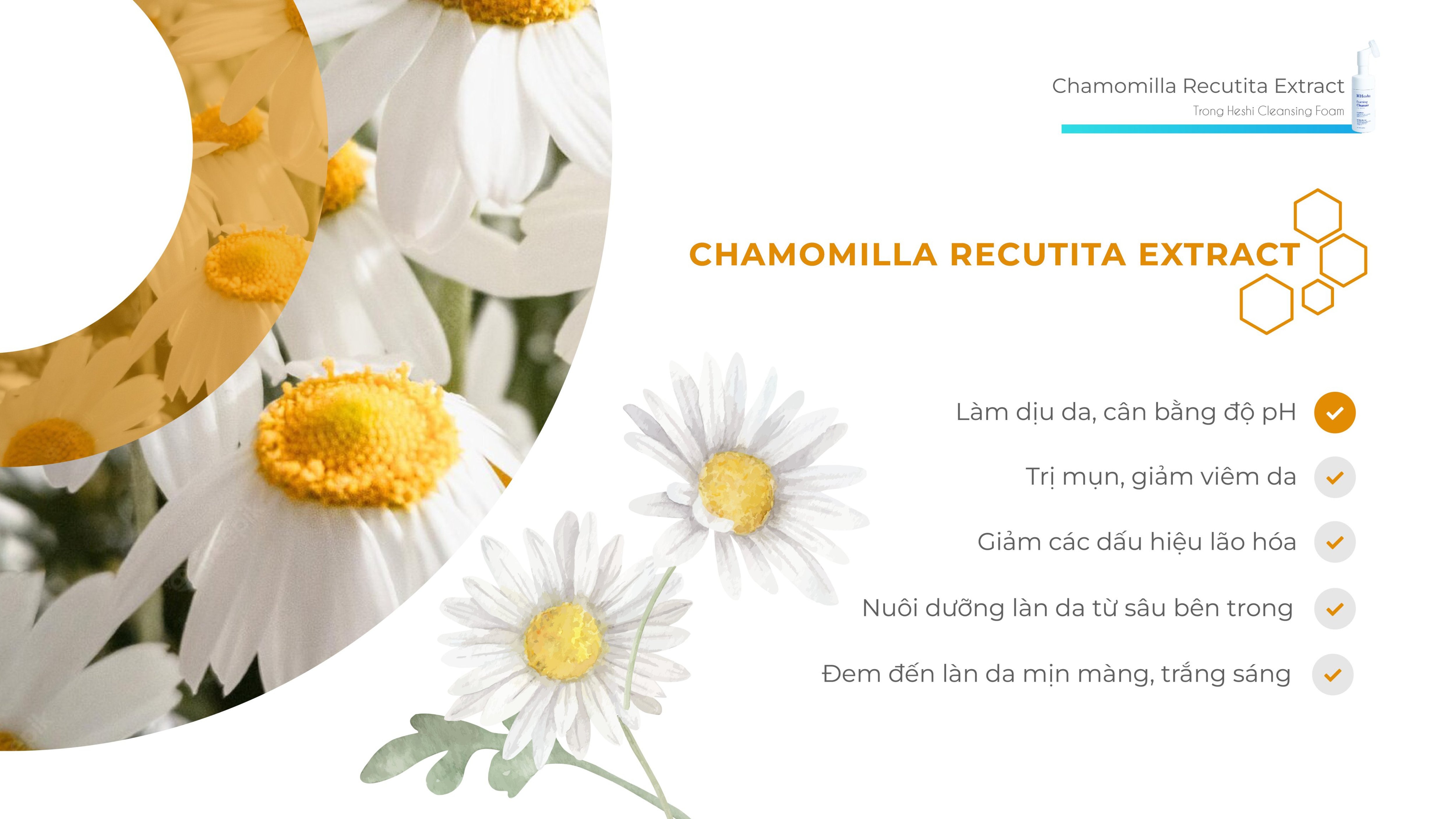 Sữa Rửa Mặt Heshi Dạng Bọt Sạch Sâu- Foaming Cleanser