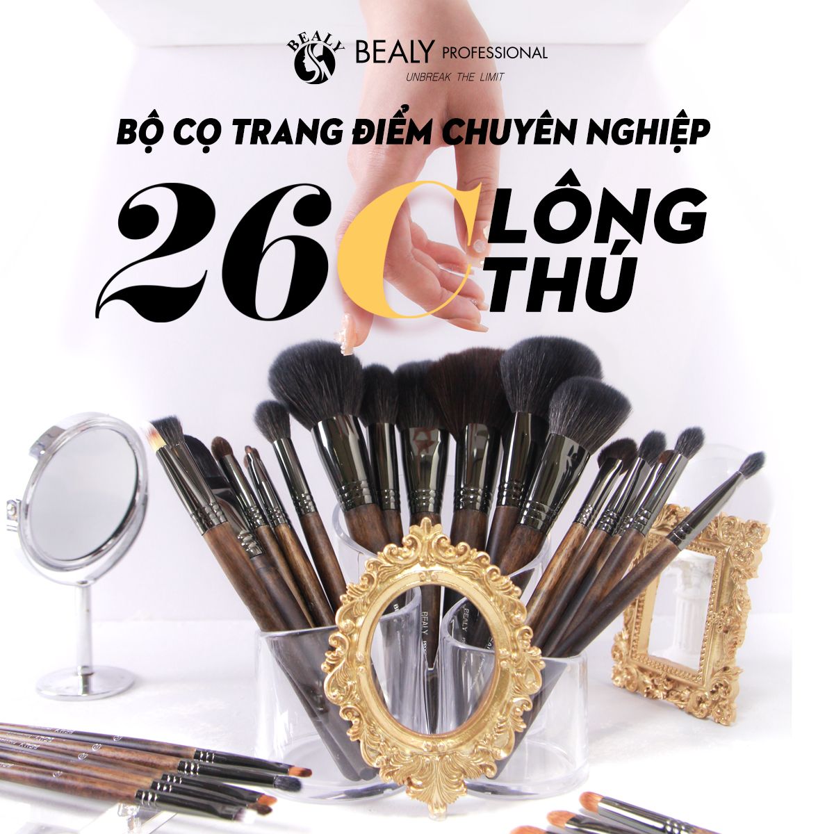 BỘ CỌ XẾP LỚP LÔNG THÚ BEALY 26C