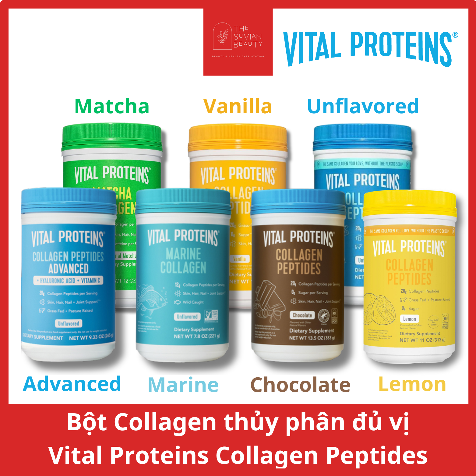Bột Collagen thủy phân Vital Protein Collagen Peptides đủ vị (không chứa GMO-sữa-gluten)