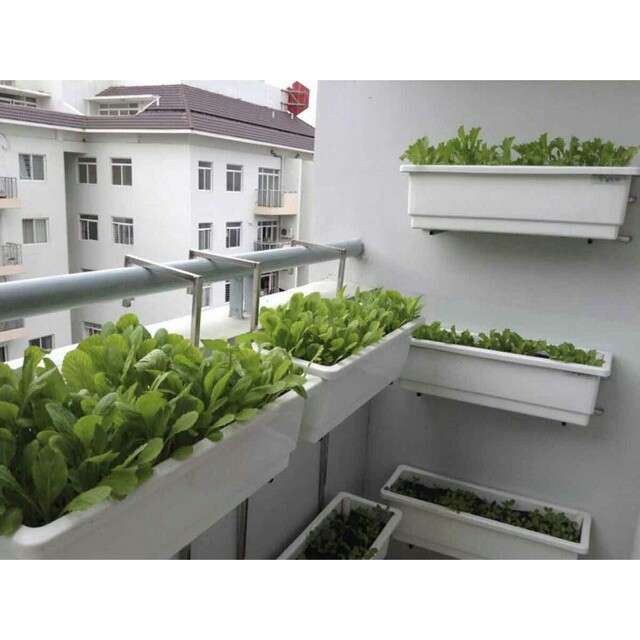 Khay hoa ban công trồng hoa rau, chậu hàng rào 63cm
