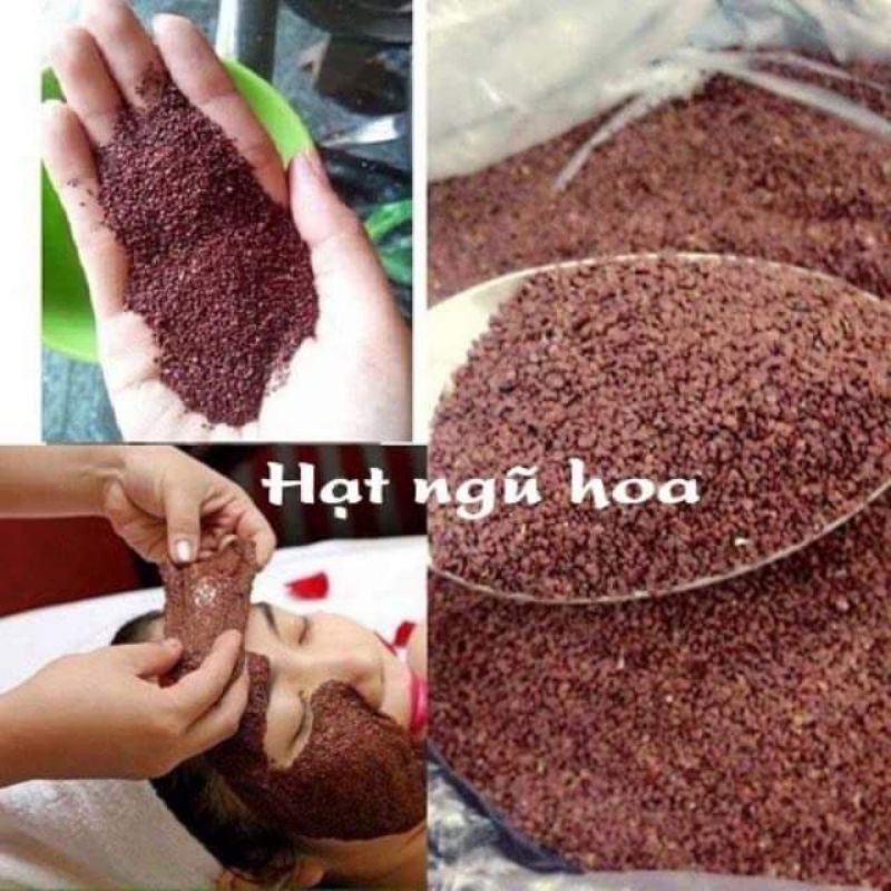 100g hạt ngũ hoa hạt to sạch