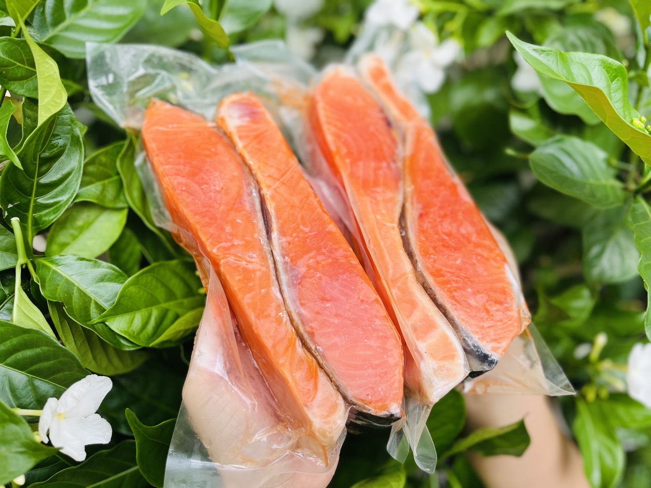 [GIAO NHANH 2H HCM] Giá Sỉ 1Kg Cá Hồi Nauy - Phi-le