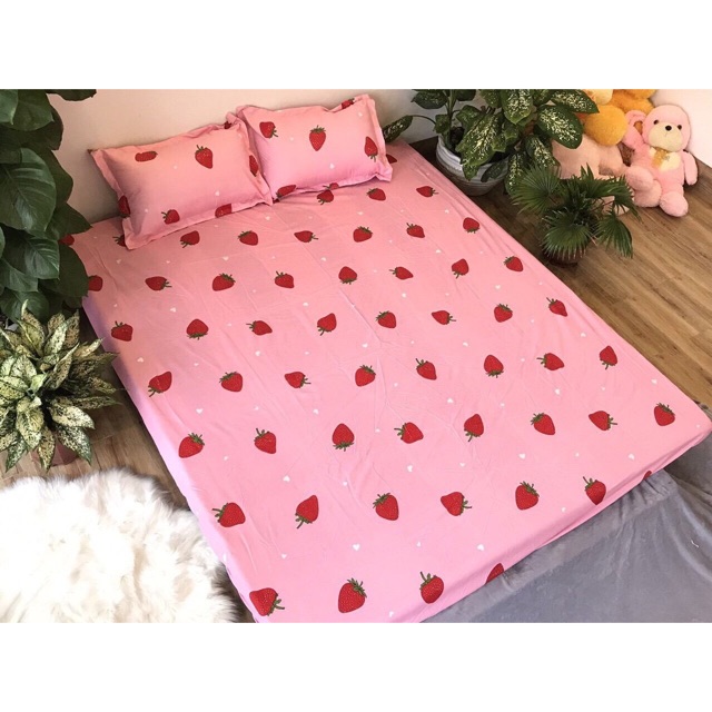 Ga Chống Thấm Coton Hàng Xịn