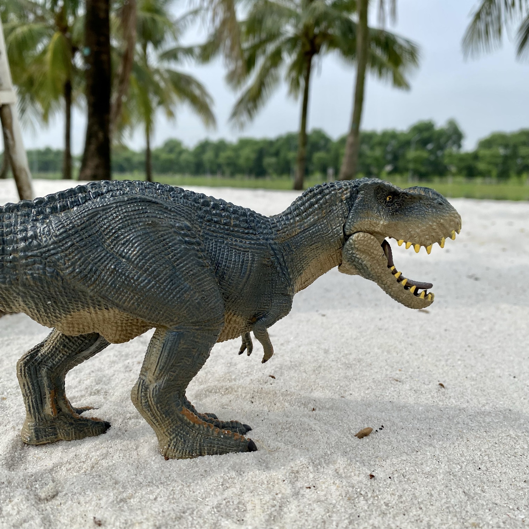 Mô Hình Khủng long bạo chúa T Rex đồ trưng bày