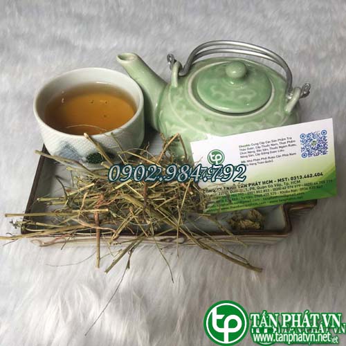Diệp Hạ Châu khô 1kg - Hàng sạch thơm chuyên dùng để sắc nước và pha trà - Thảo Dược Tấn Phát