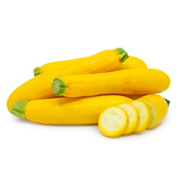 Hạt giống bí ngòi vàng Rạng Đông