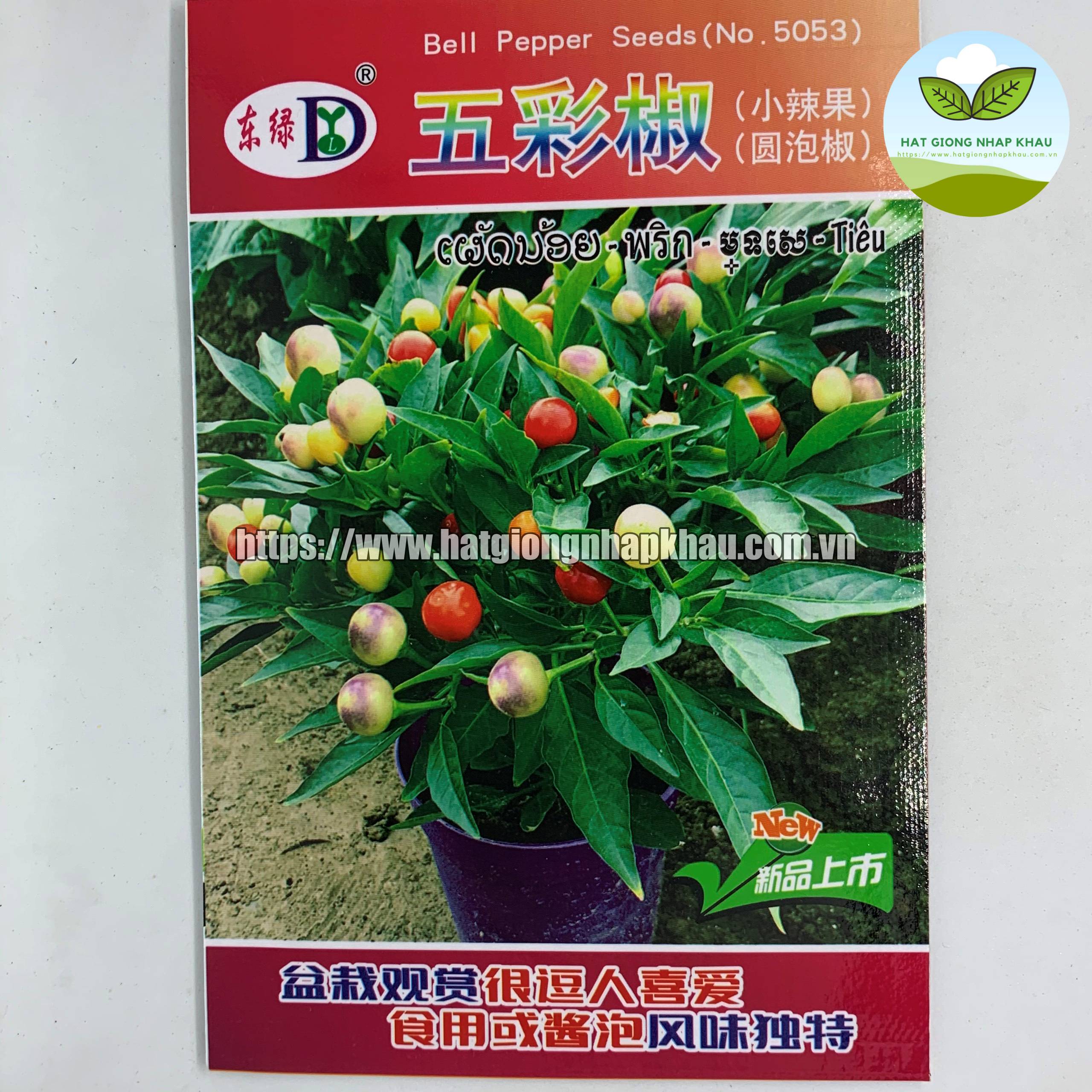 Hạt giống ớt bi cảnh lùn, ớt kiểng tròn . 2 gr/gói