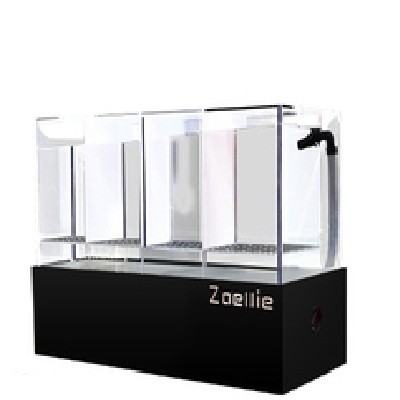 Bể cá betta 4 ngăn acrylic cao cấp có bộ lọc đáy bể