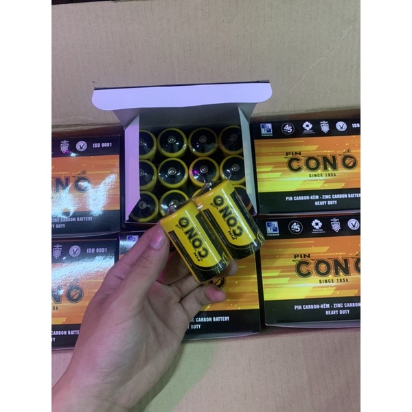 (HÀNG CTY CHÍNH HÃNG) 12 Viên Pin Con Ó Pinaco Mẫu Mới 1,5V ( Đại )