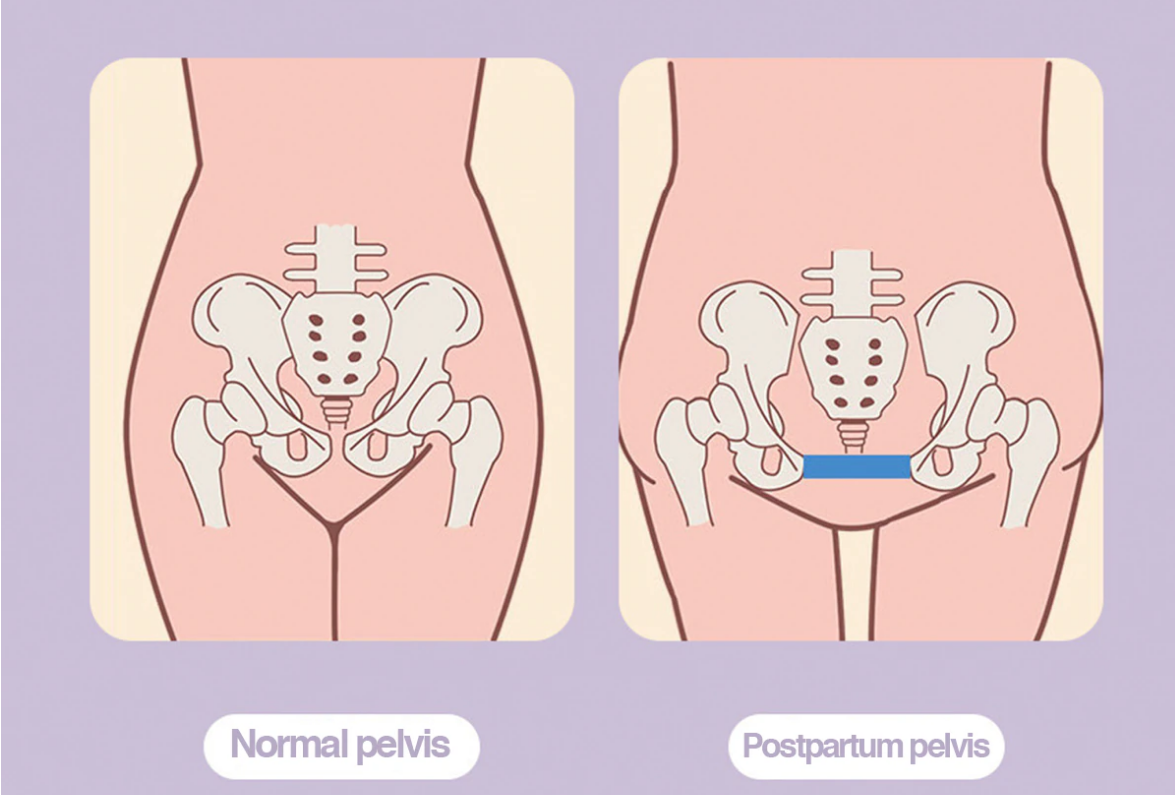 Máy Tập Kegel Cho Nam Chính Hãng - Tăng Cường Sinh Lý & Sức Khỏe Sàn Chậu