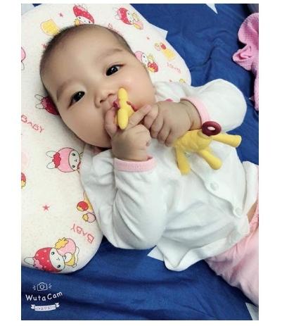 Gặm Nướu Hươu Cao Cổ Nhật Bản