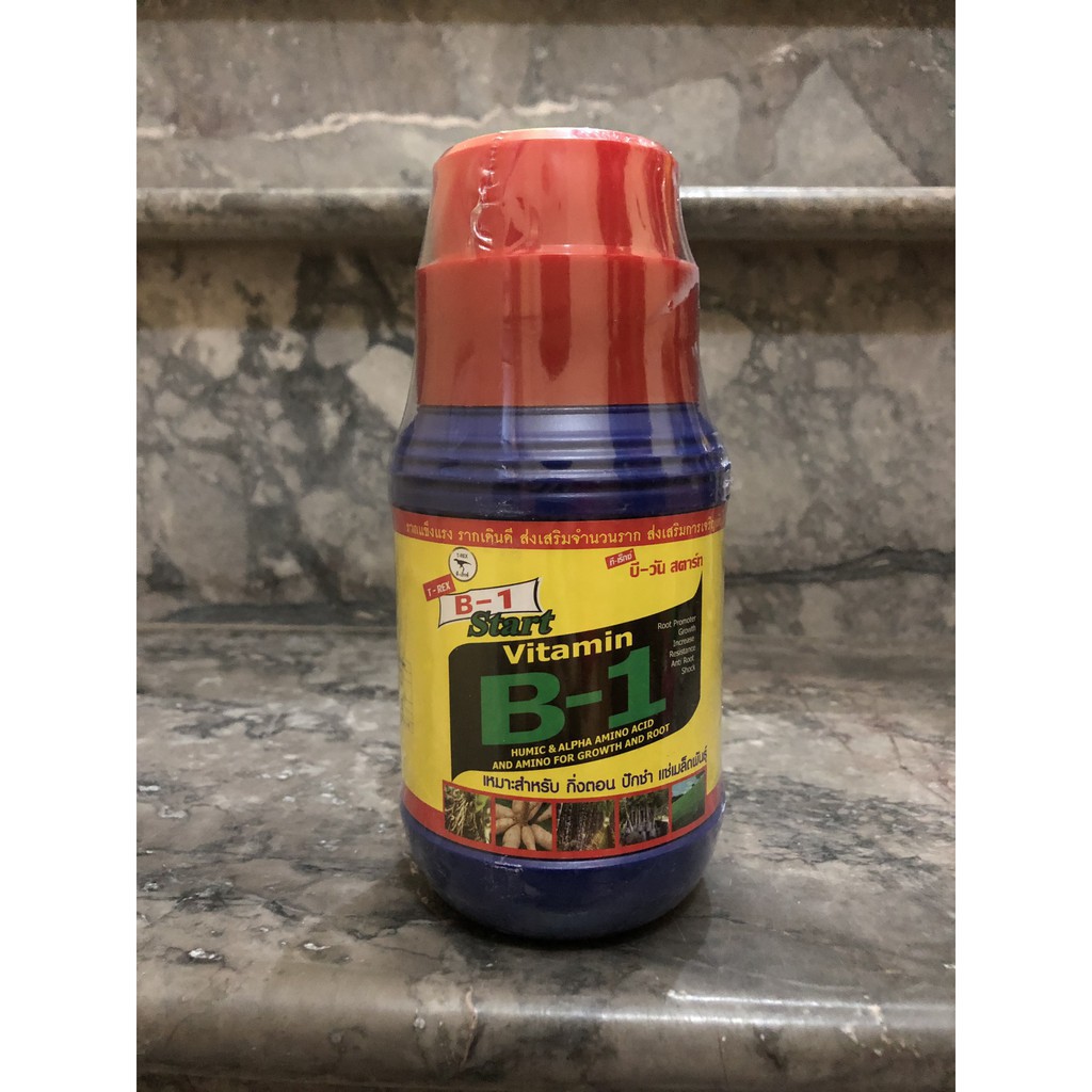 Vitamin B1 Thái lan Chai 500ml