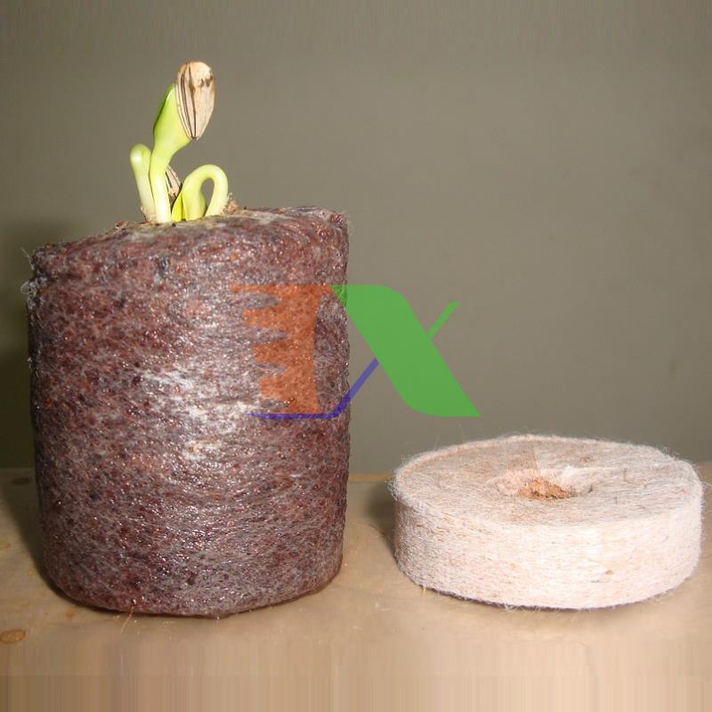 Box 1000 tablets ươm beads, barrel tablets coir, tablets ươm tree, tablets mulch coconut tree planting non