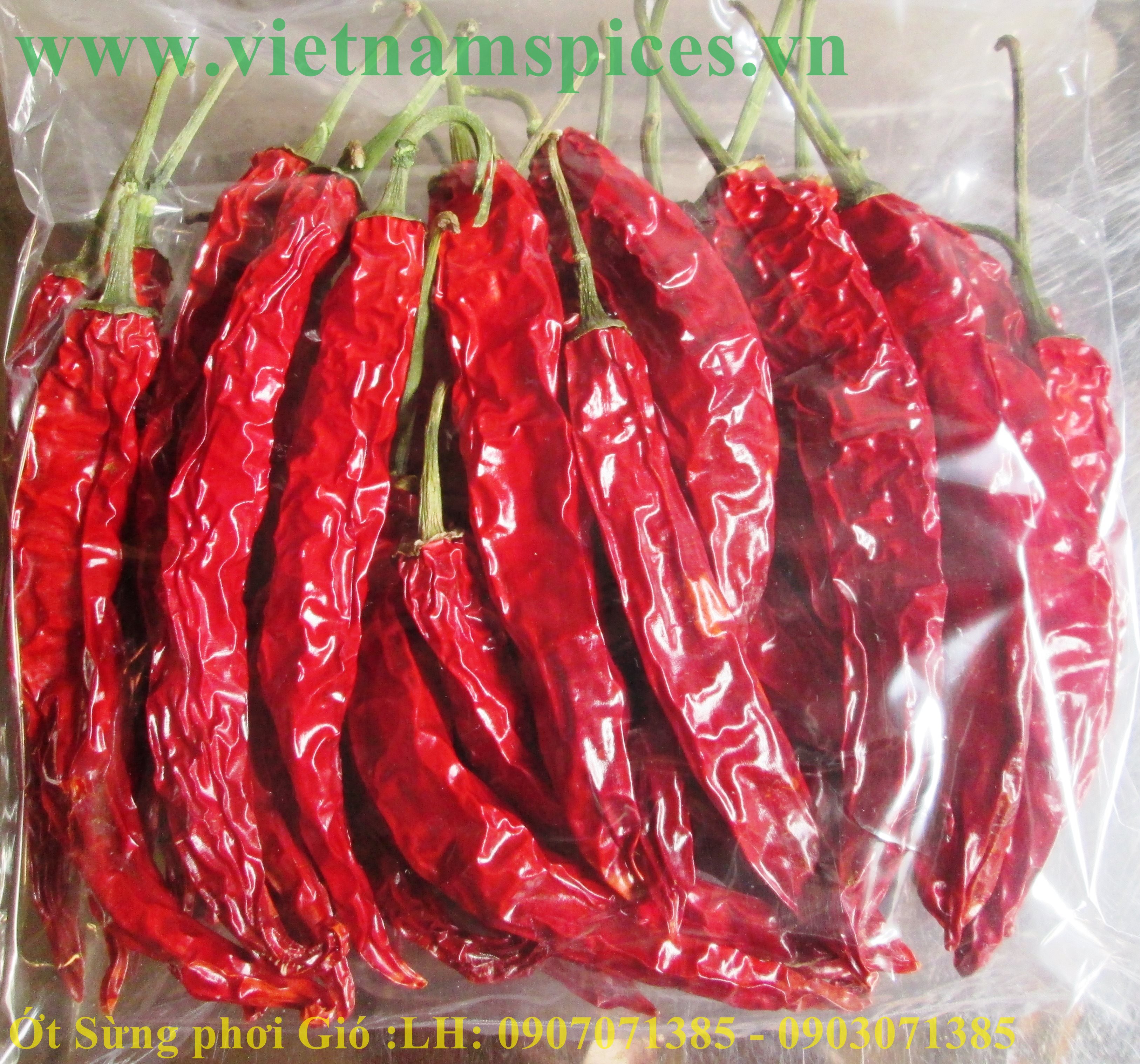 Ớt Sừng trái  Phơi Khô Cao Cấp 100gram