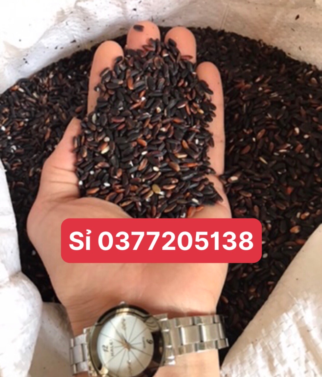 Gạo cẩm nếp nương biên (5kg)