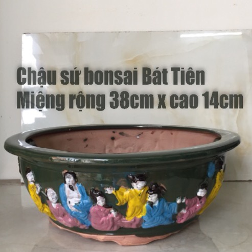 Chậu Sứ bonsai hình bát tiên (size 2)