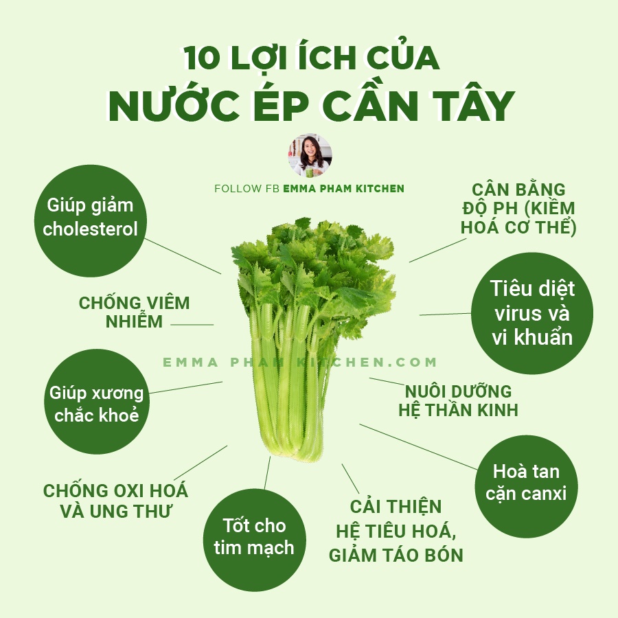 5GR HẠT GIỐNG CẦN TÂY BẸ TO ÉP NƯỚC