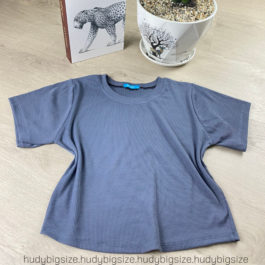 BIGSIZE ( 60-80KG) - ÁO CROPTOP THUN GÂN CỔ TRÒN BASIC