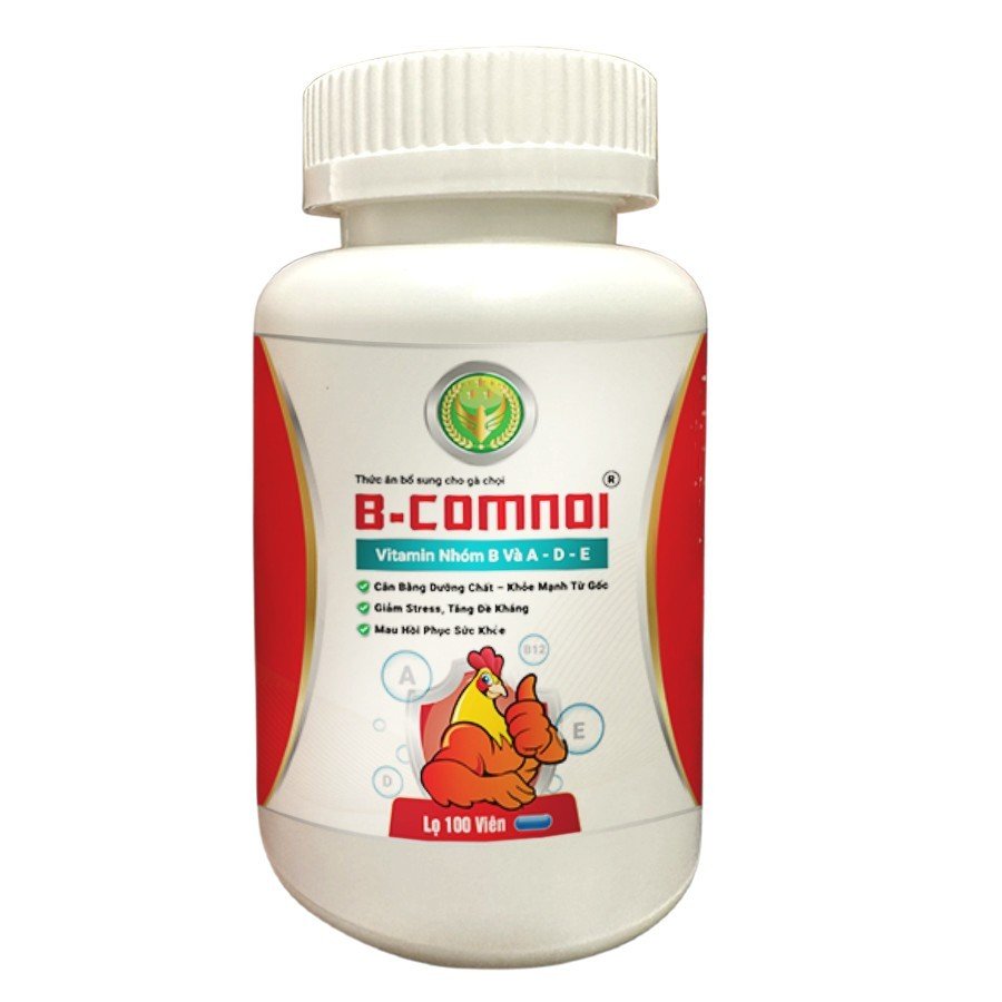B-COMNOI - Vitamin Nhóm B và A-D-E