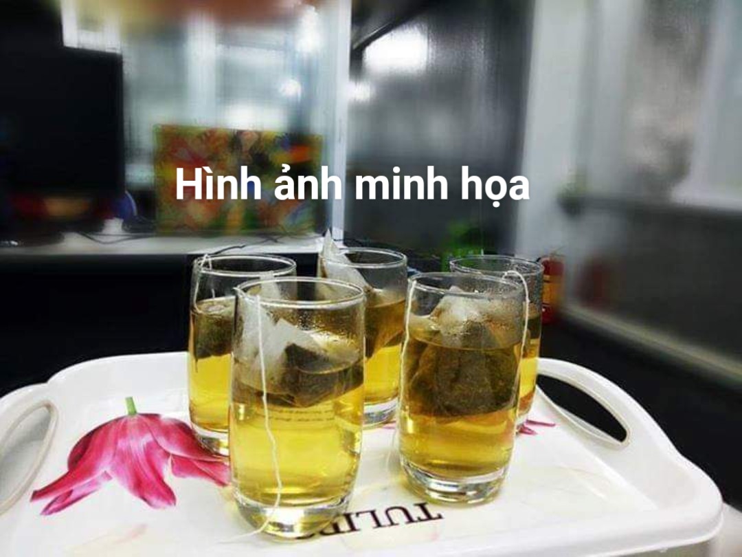 TRÀ TÚI LỌC CÀ GAI LEO SADU 1KG