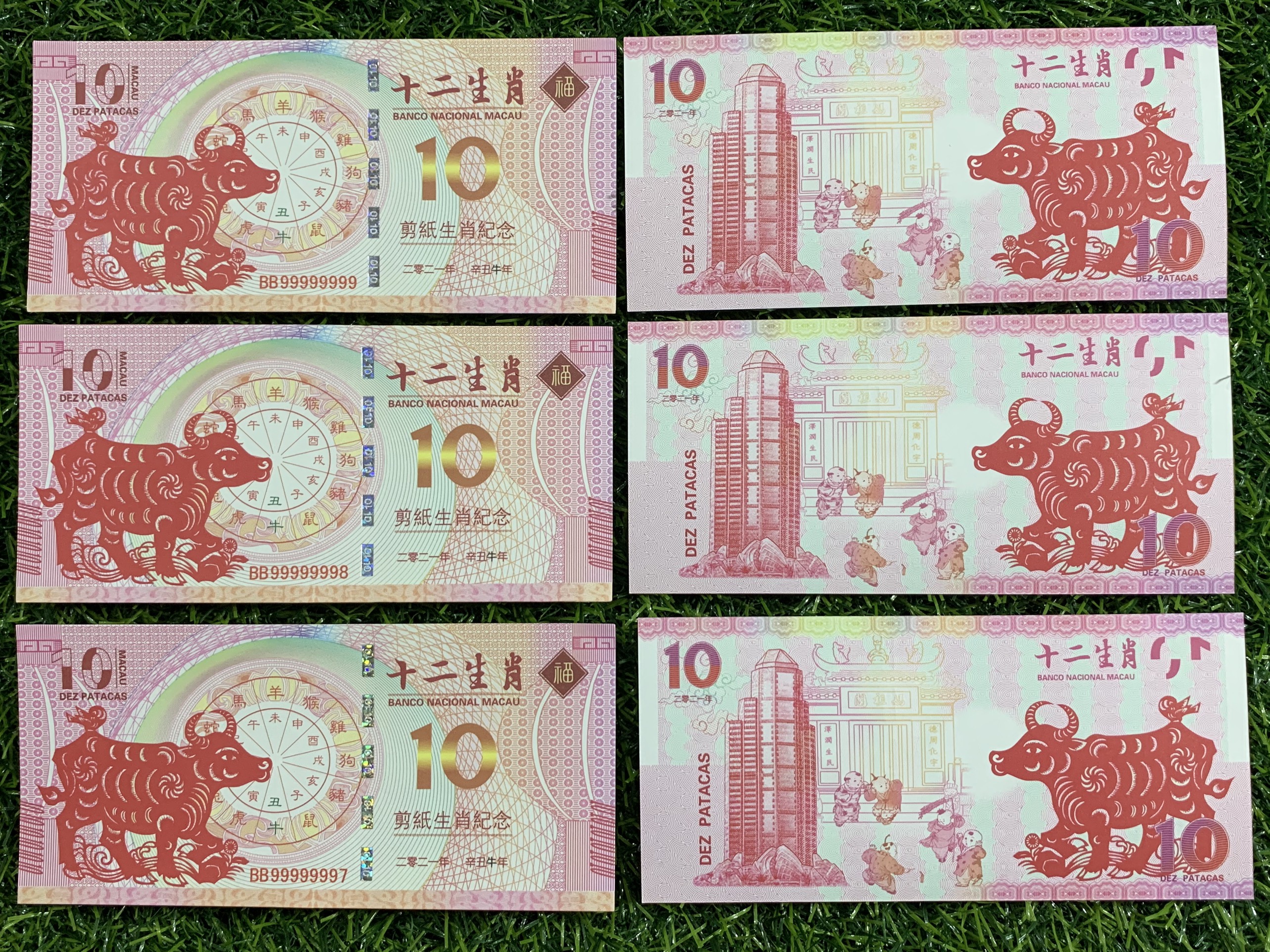 10 Do La Macao hình Trâu