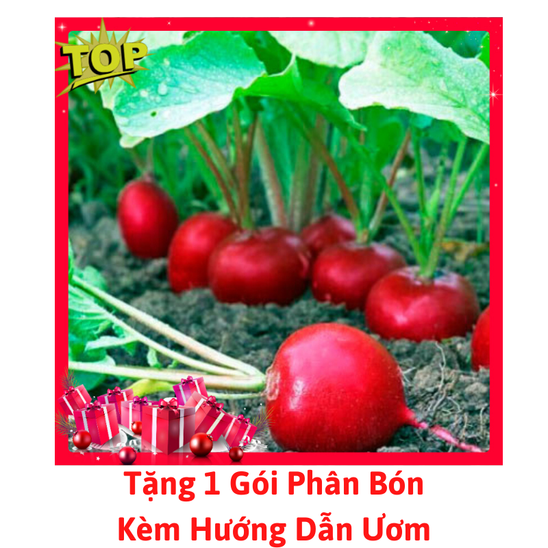 [Lấy mã giảm thêm 30%] Gói Hạt GIống Củ Cải Đỏ F1