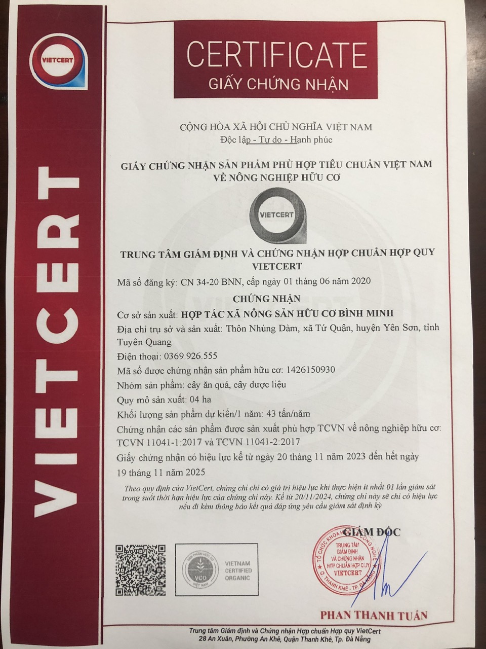 TRÀ ỔI (trà túi lọc)
