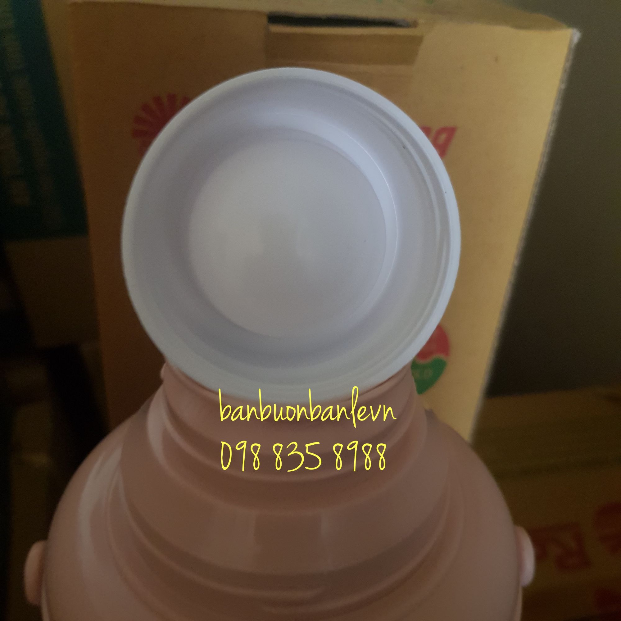 Phích đựng nước nút xoáy  Rạng đông 2035 N6.X