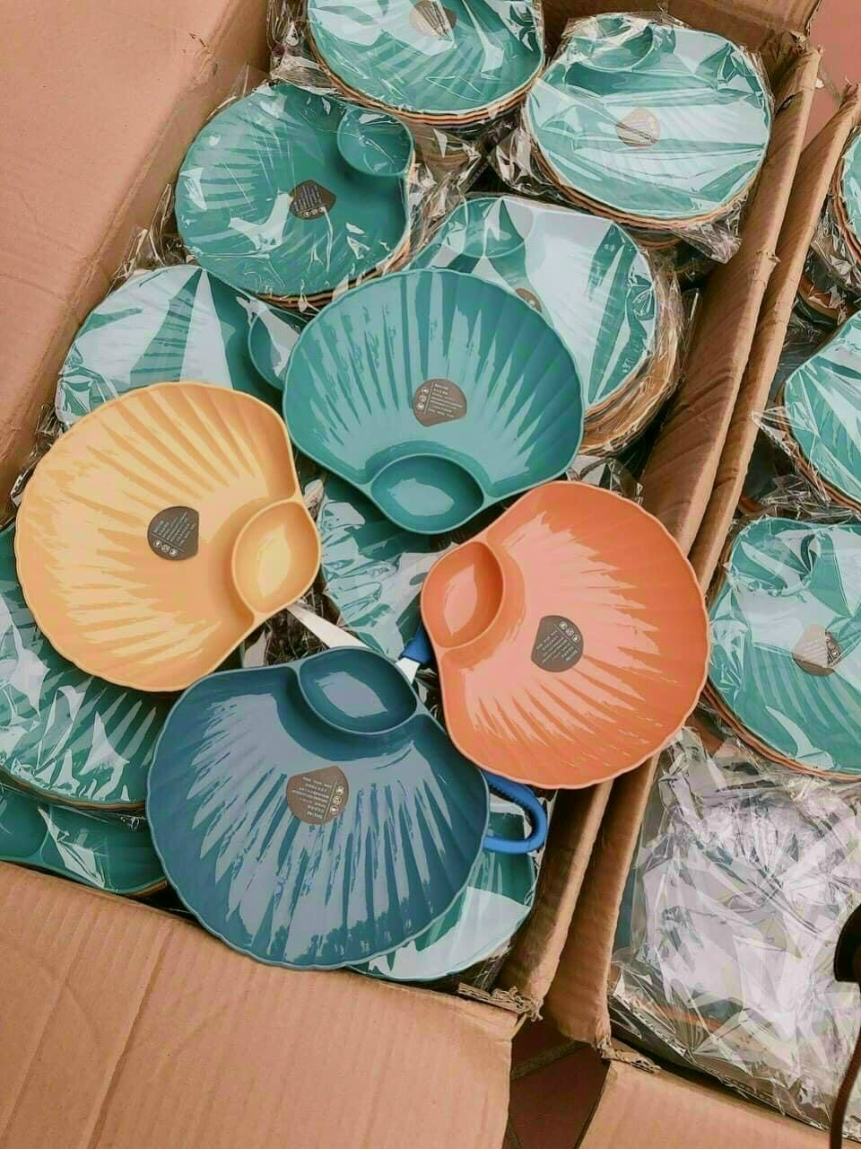 SET 4 ĐĨA NHỰA HÌNH VỎ SÒ