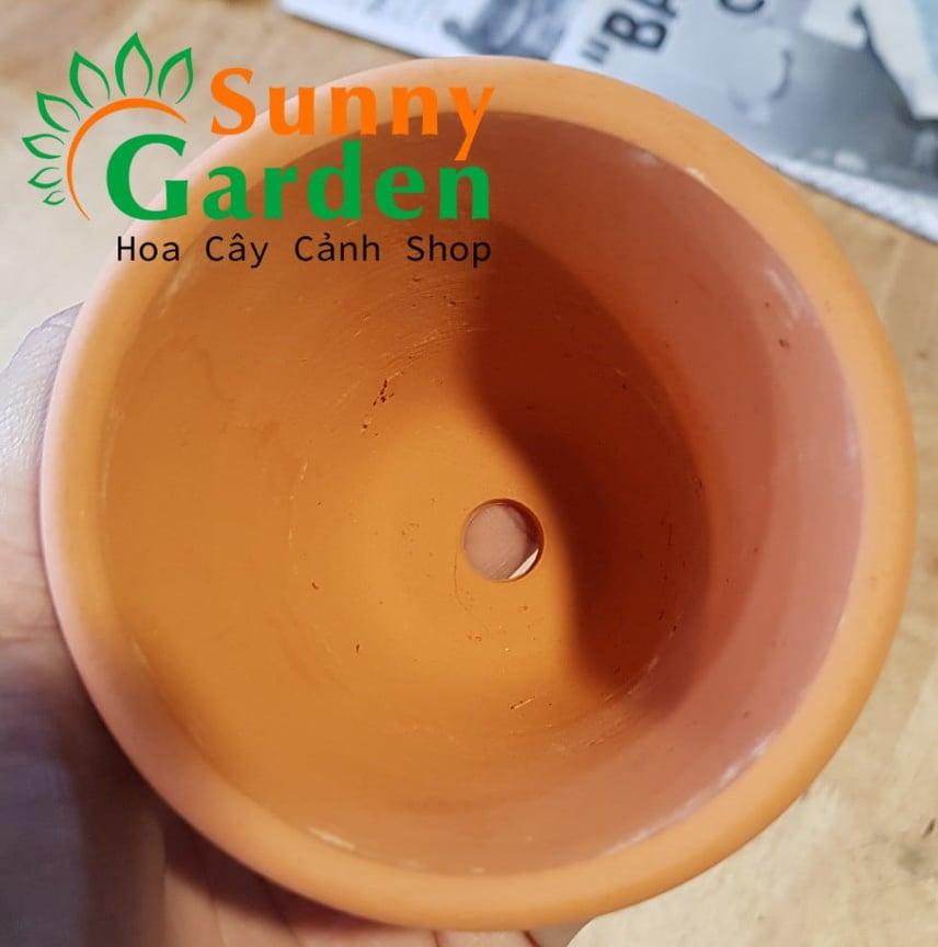 Chậu Đất Nung Dày Size 11x 8cm - Chậu Trồng Cây