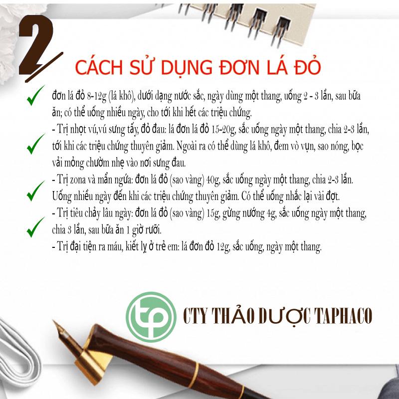 Lá đơn đỏ khô 500g - Thảo Dược Tấn Phát