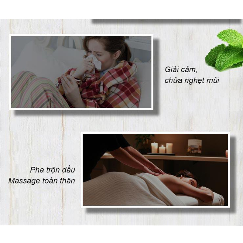 Tinh Dầu Long Não N'farm 10ml