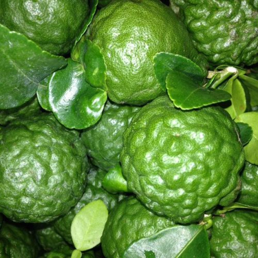 Hạt giống Chanh Thái Lan / Chanh Chúc gói 5 hạt