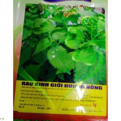 Hạt giống rau kinh giới - gói 1g