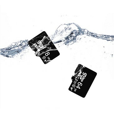 Thẻ nhớ micro SDHC NTC Class 10 (Đen)