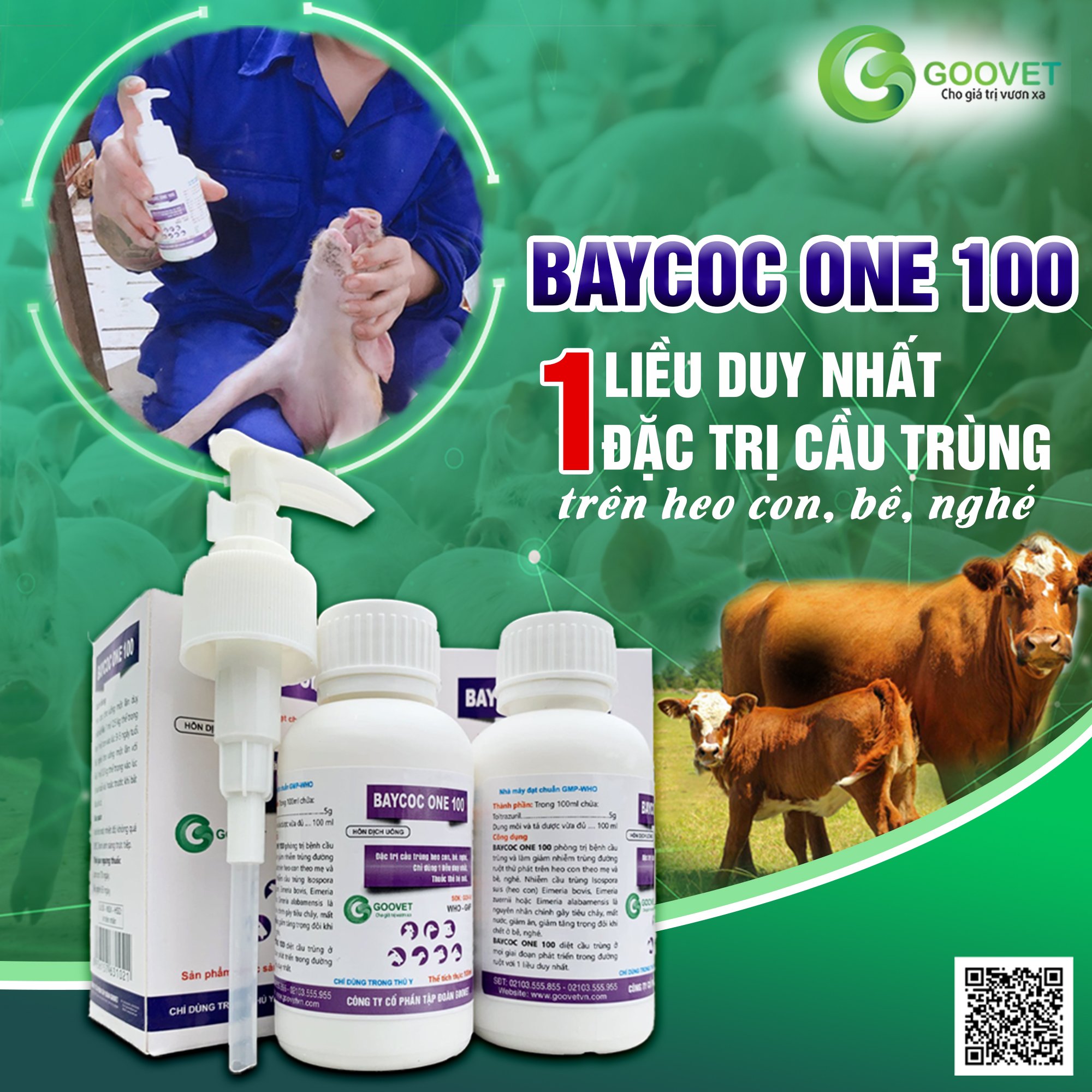 Baycoc one 100 10ml- Đặc trị cầu trùng