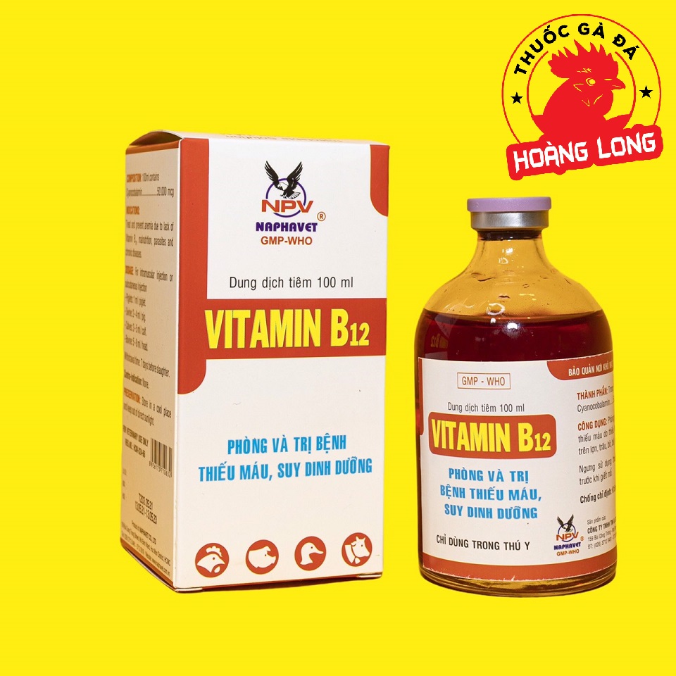 VITAMIN B12 100ML cho gà đá
