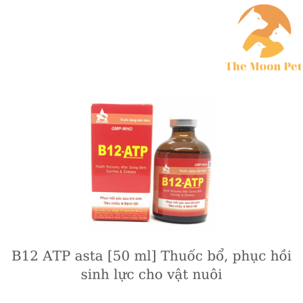 B12 ATP asta [50 ml] Thuốc bổ, phục hồi sinh lực cho vật nuôi