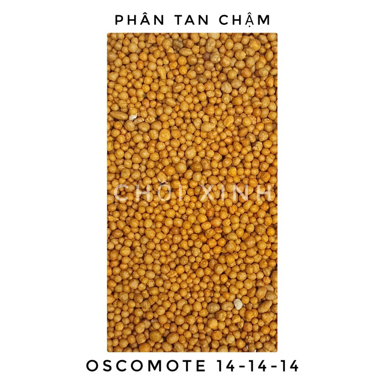 50g/100g/200g Phân tan chậm NPK 14 14 14 Oscomote Mỹ