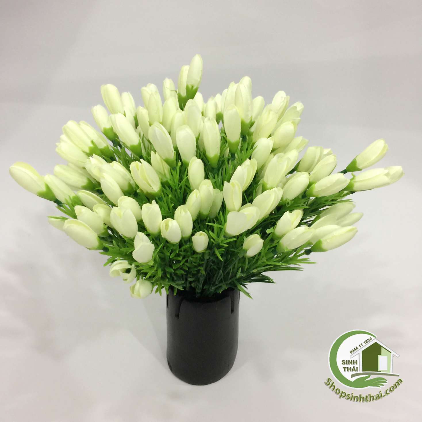 [HCM]Bụi Hoa Tulip Nhí Màu Trắng