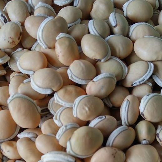 COMBO 2kg ĐẬU VÁN TRẮNG DÙNG NẤU CHÈ