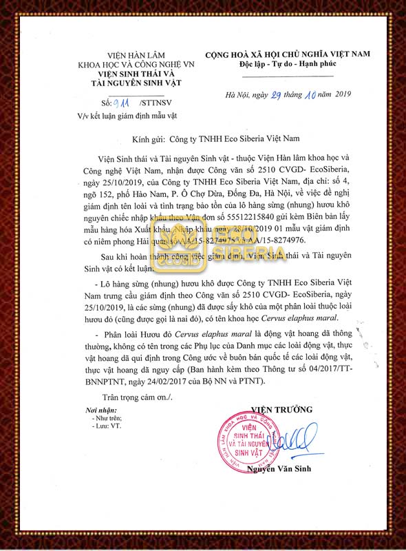 NHUNG HƯƠU KHÔ SIBERIA - 50G