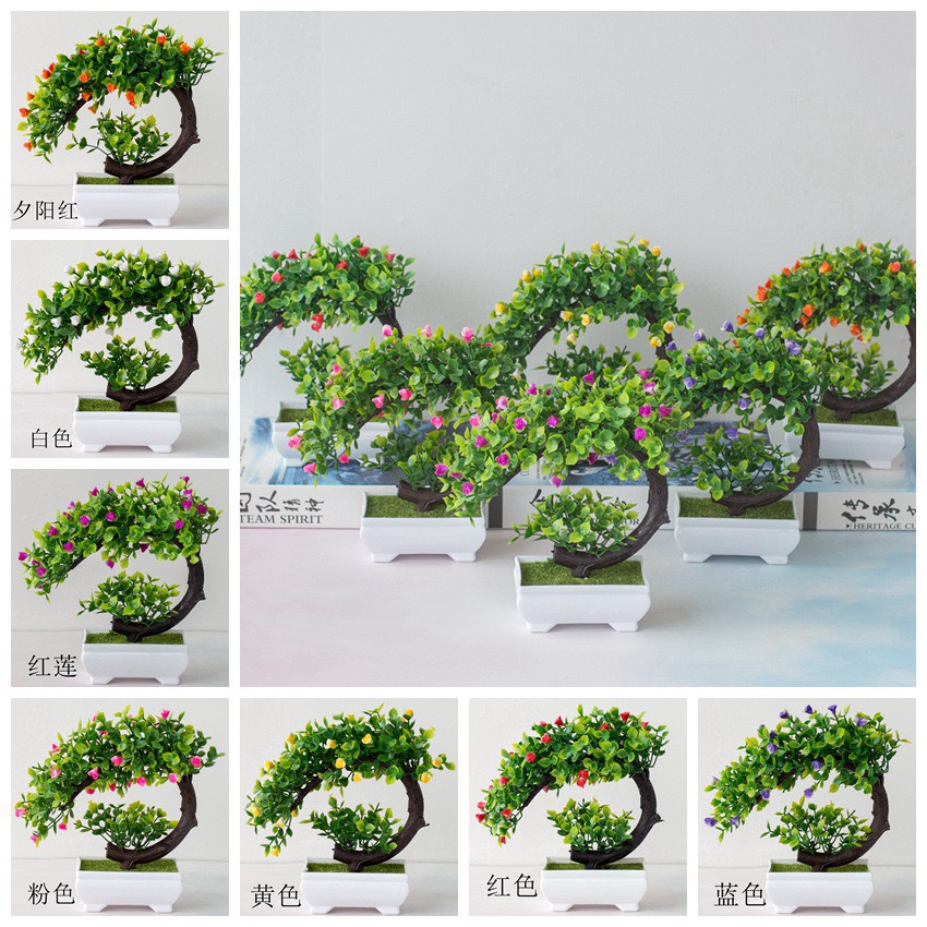 [HCM]Chậu Cây Bonsai Phú Quý - Vạn Sự Như Ý
