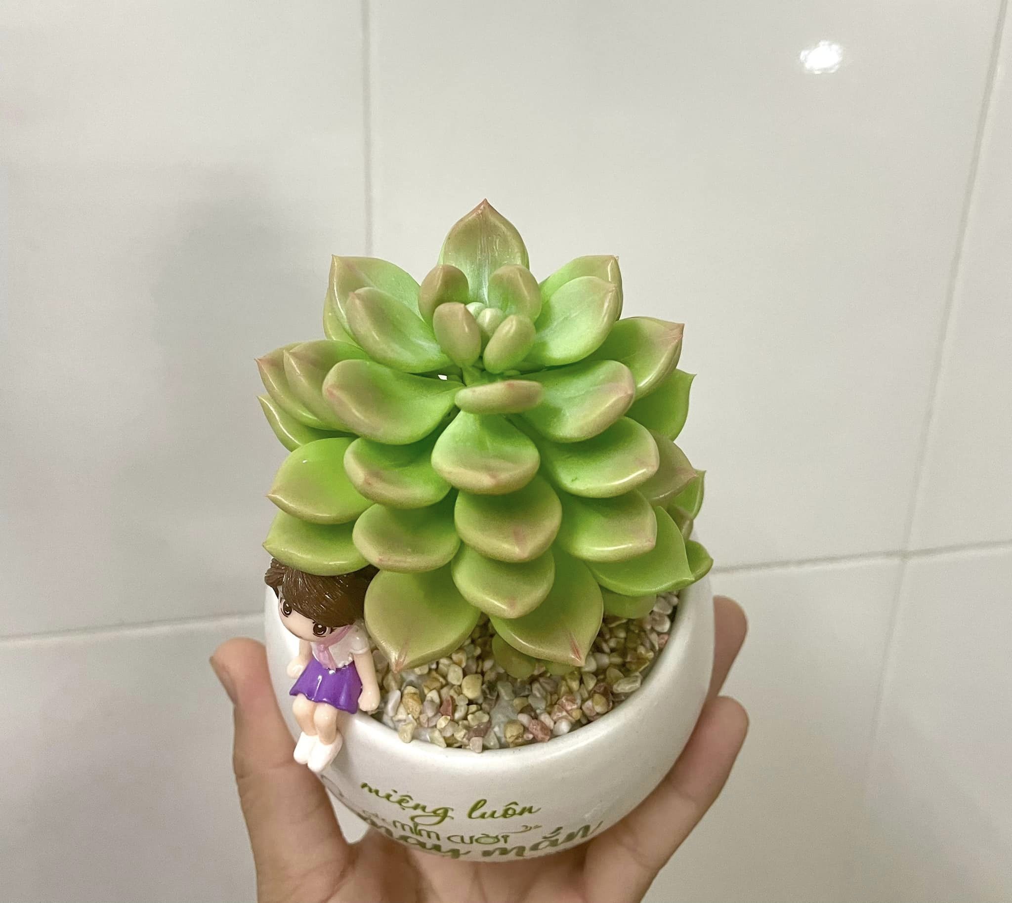 Chậu sen đá bằng đất sét mix phụ kiện dễ thương