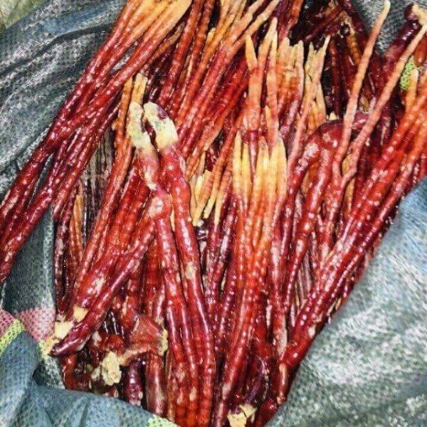 Nấm Linh Chi Sừng Hươu 500gr